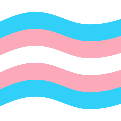 Trans Flagge